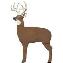 The Block Glendel Pre Rut Buck